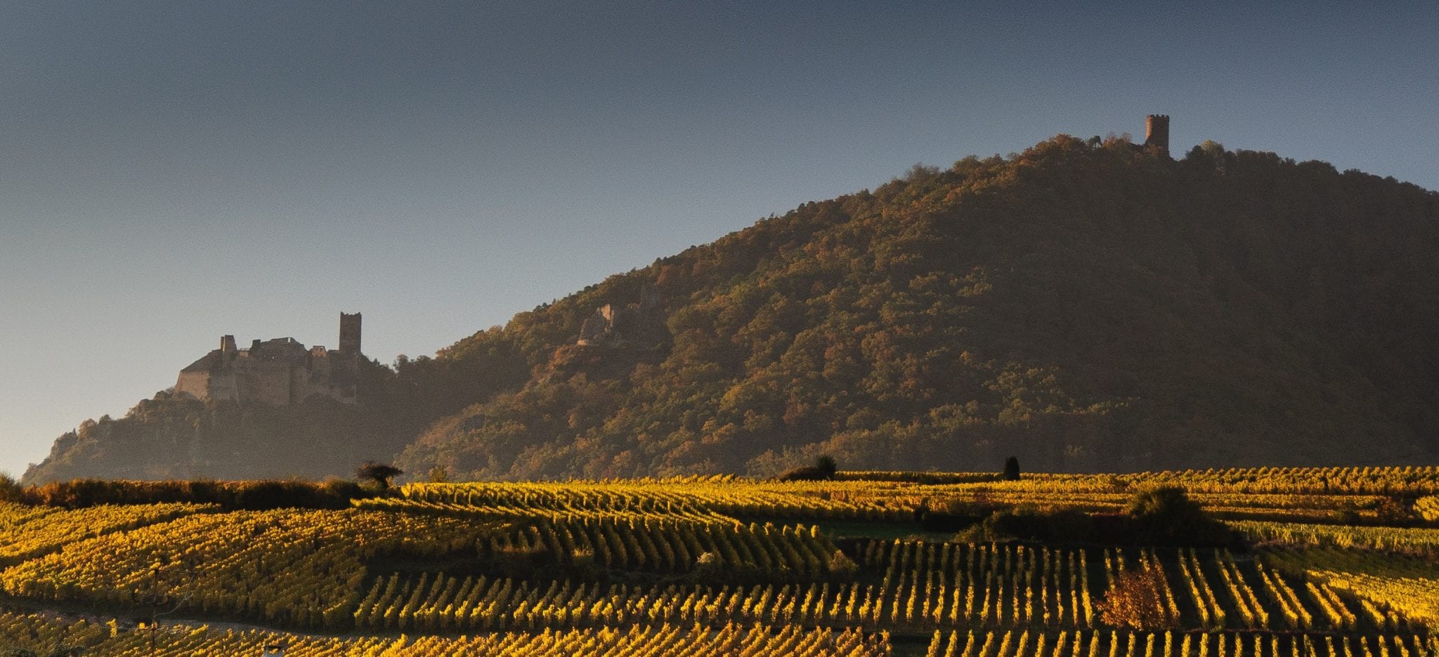 Route des Vins d'Alsace-Credits Jeff Burrows