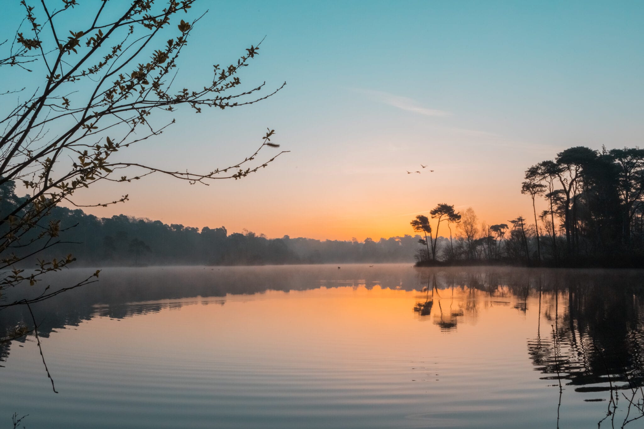 Oisterwijkse bossen en vennen Voorste Goorven zonsopkomst header