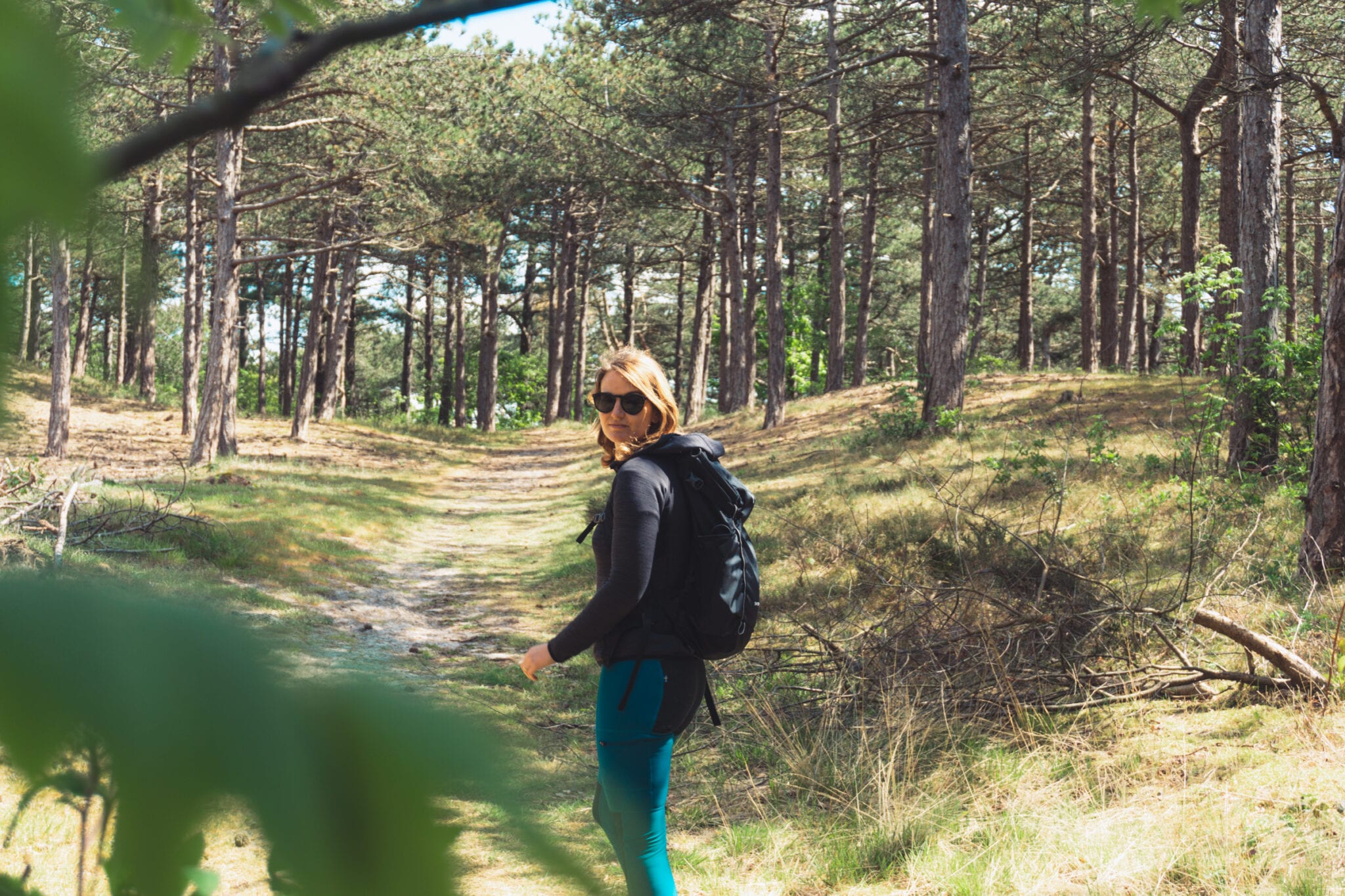 wandelroutes Texel-Het Geheim pad