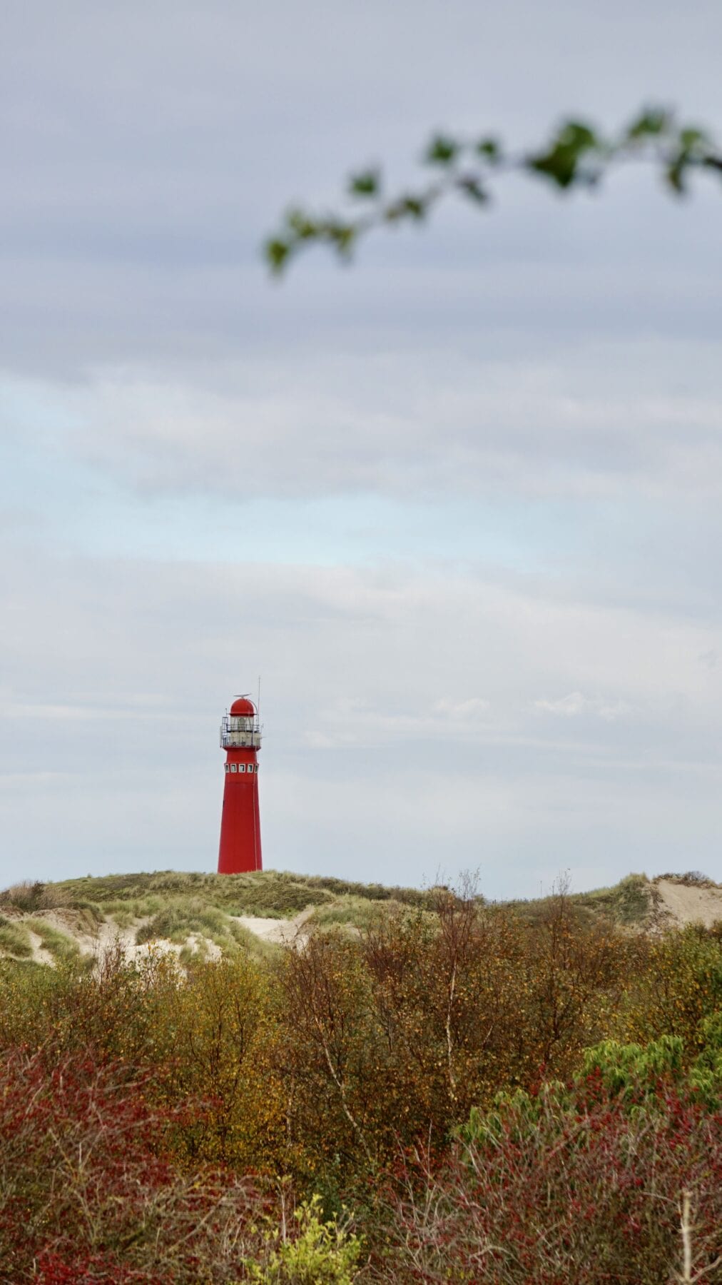 Het waddengebied vuurtoren