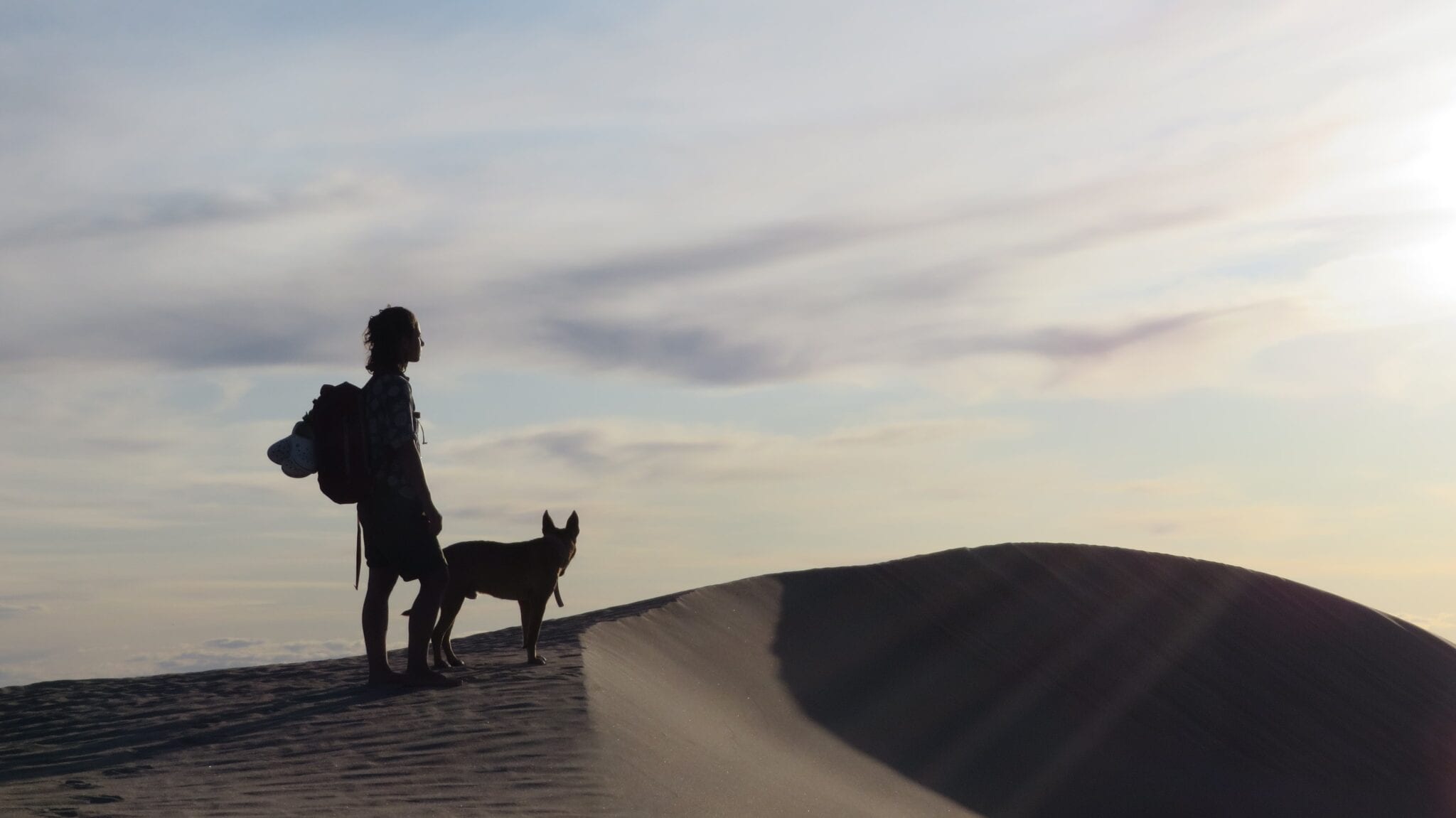 Hond mee op vakantie