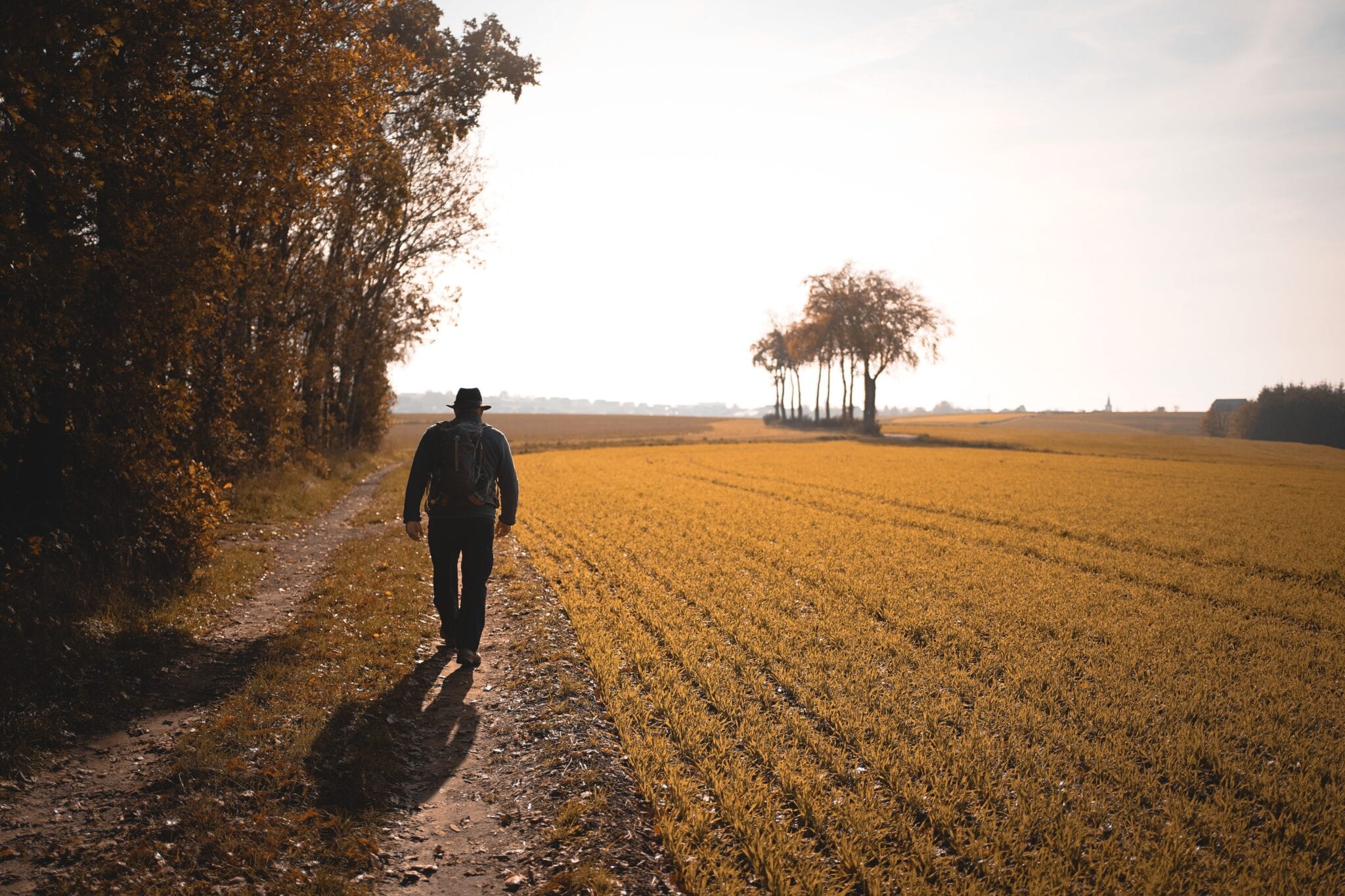 Rustige wandelgebieden