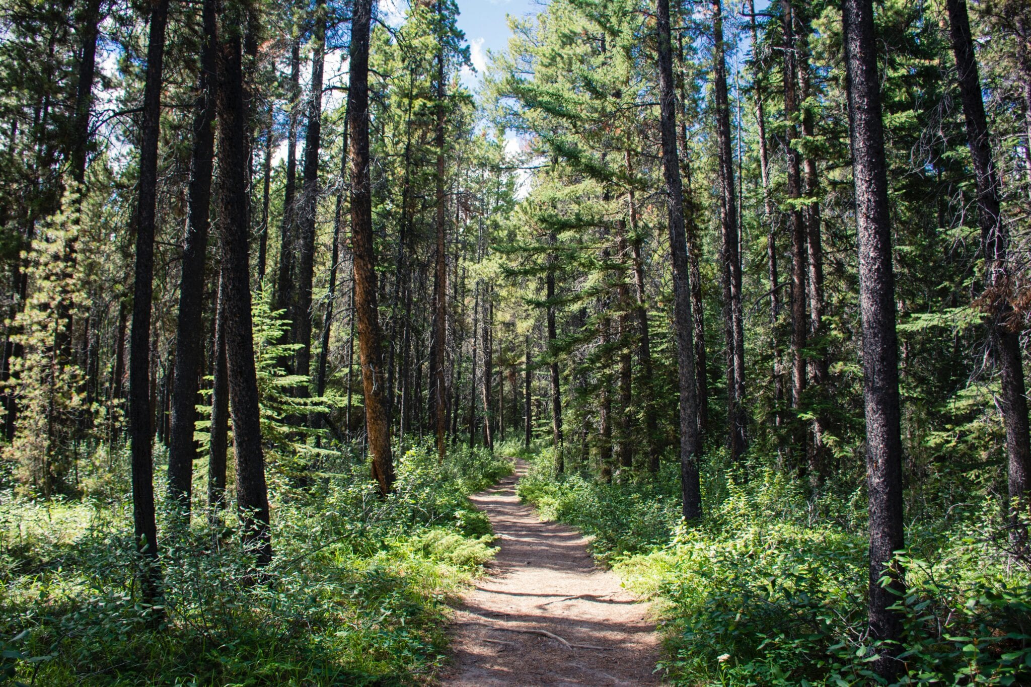 Empire State Trail