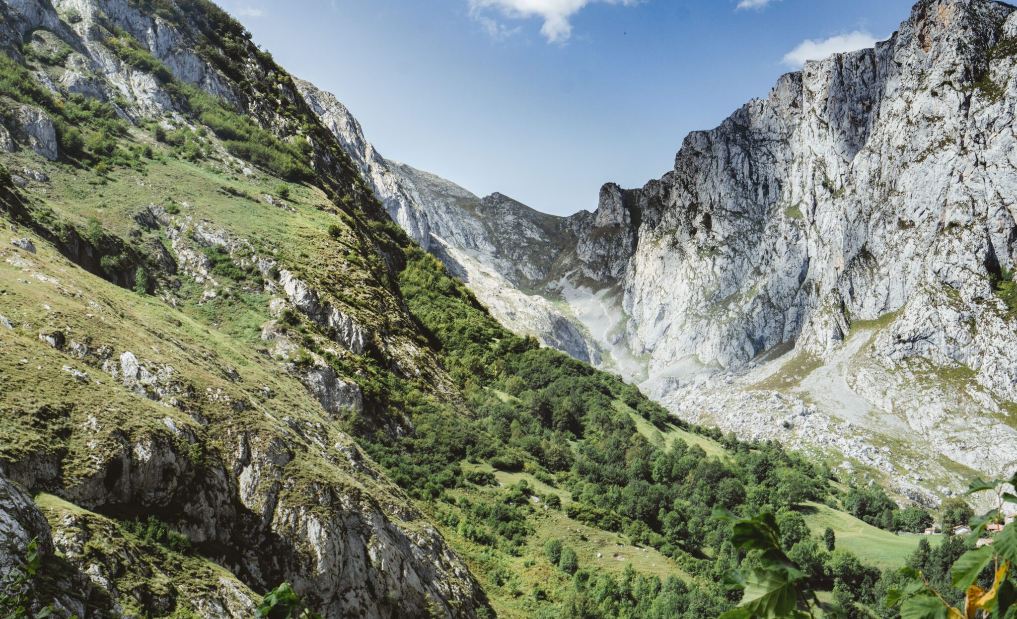 Picos de Europa