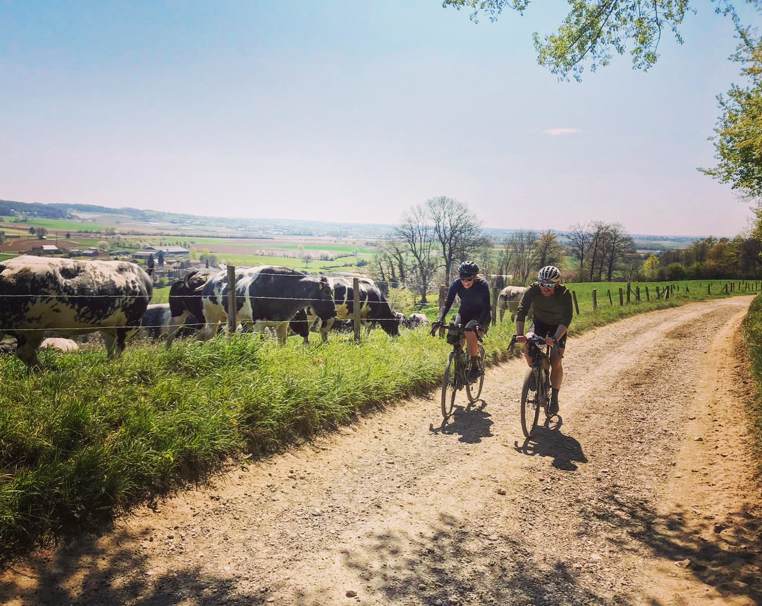 Dutch Mountain Ride Limburg