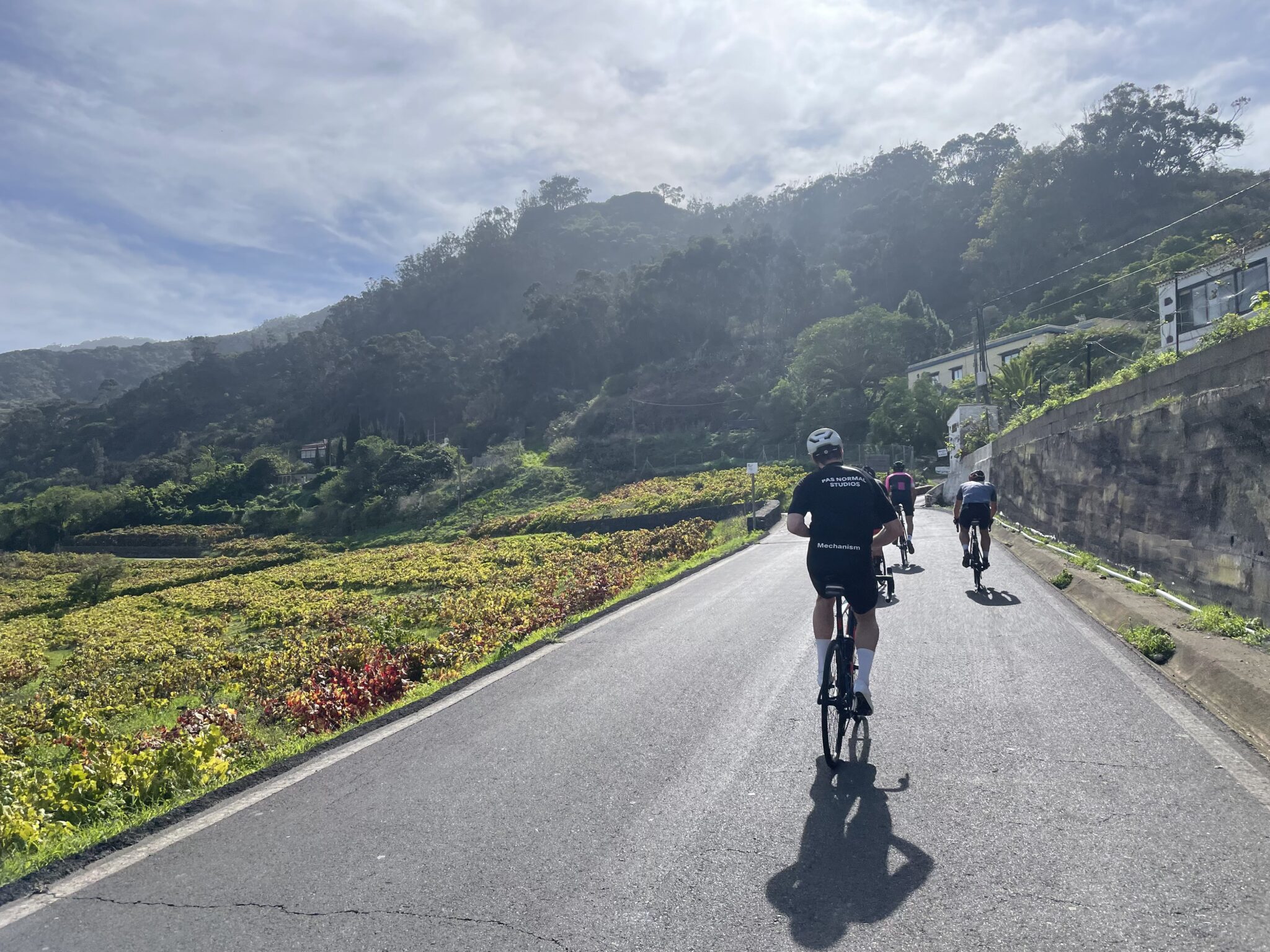 Fietsen op Tenerife richting Anaga Rural