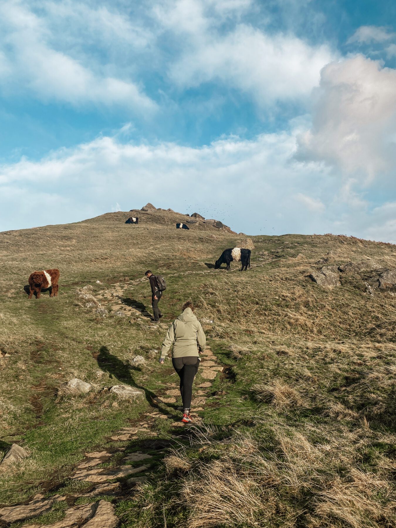 De North York Moors, een prachtig gebied in het noorden van Engeland