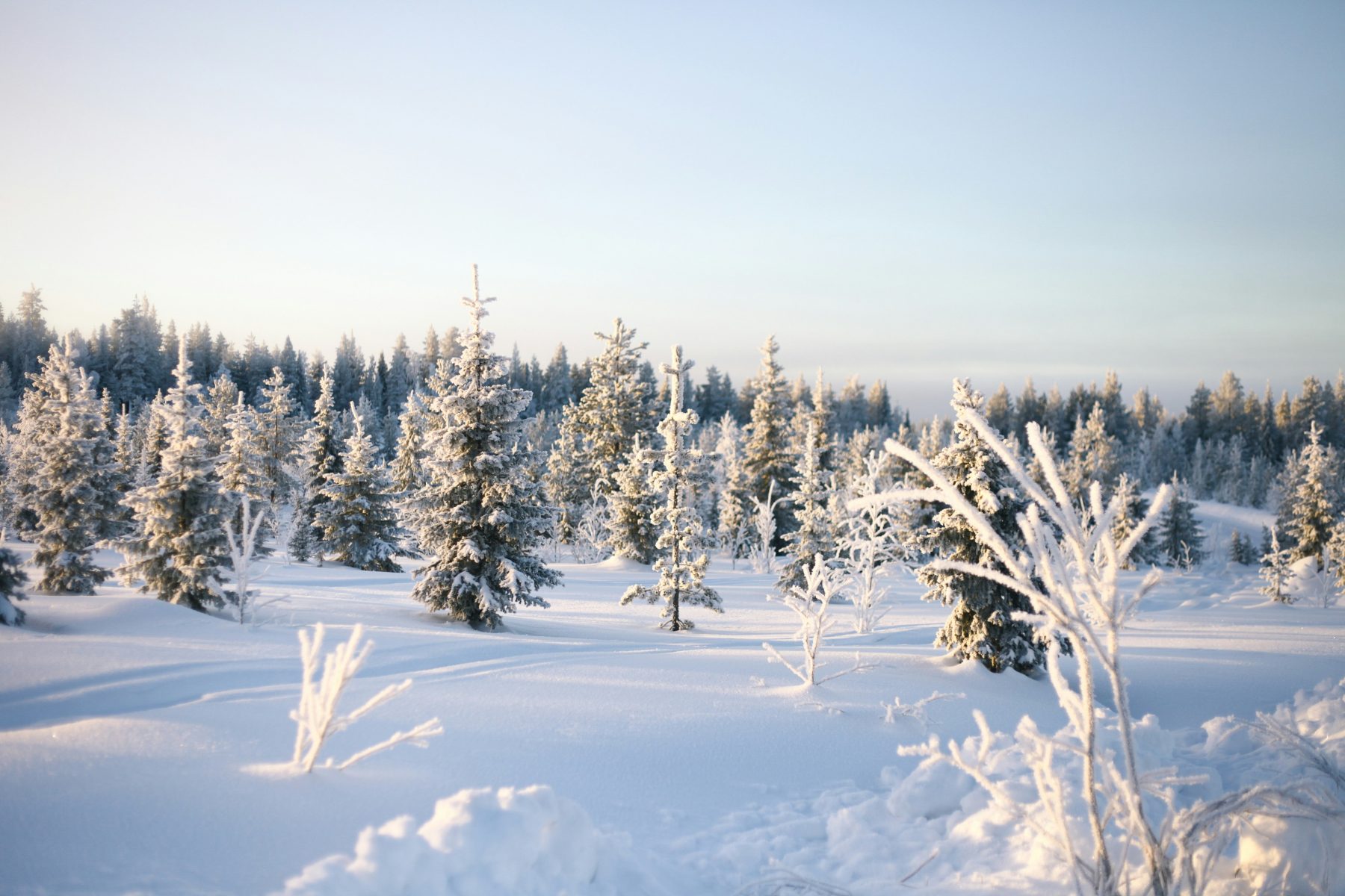 Een besneeuwd landschap in Levi, Kittila, Finland.