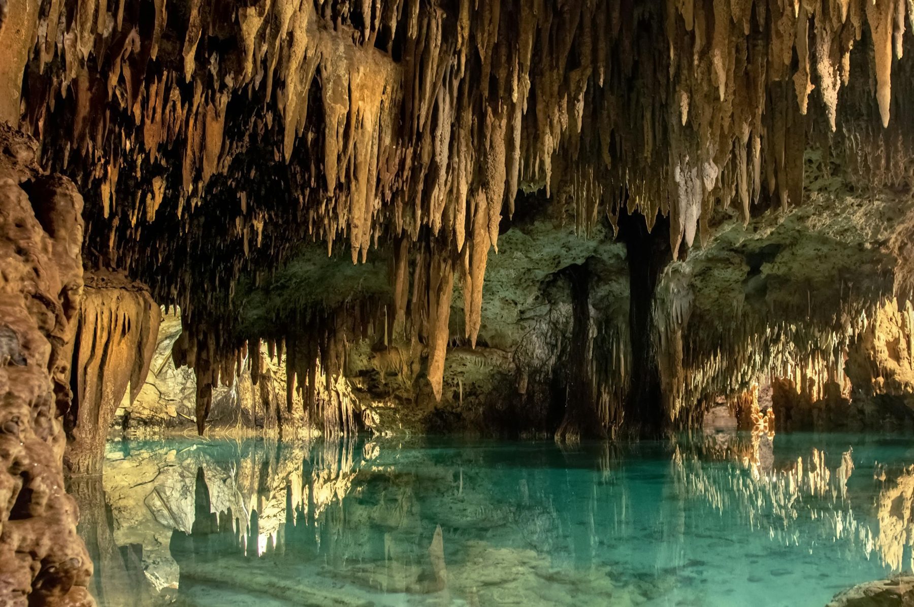 Een cenote in Mexico.