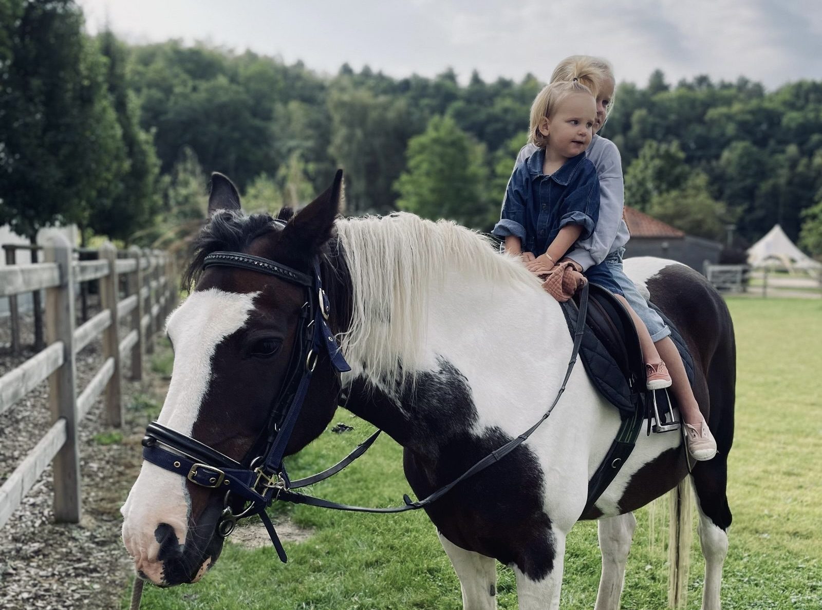 Twee kinderen op een paard.