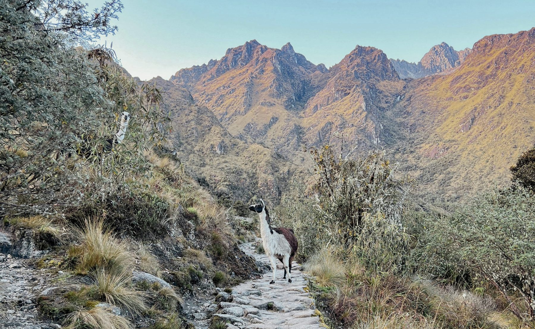 De Inca Trail in Peru.