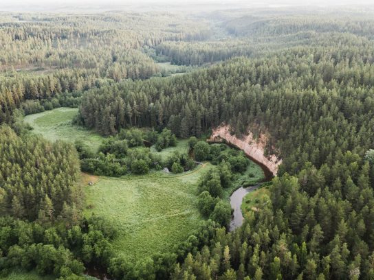 Estland - Metsa hiking trail