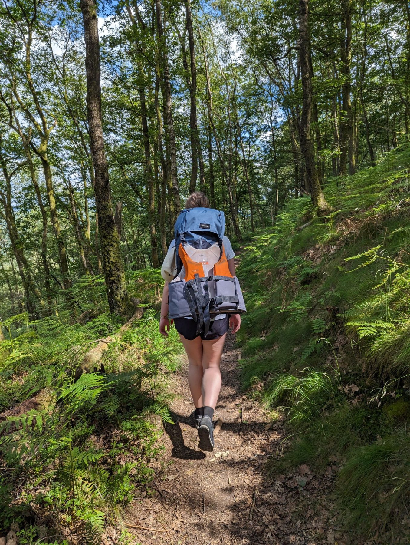 Wandelen door de bossen van de Franse Ardennen