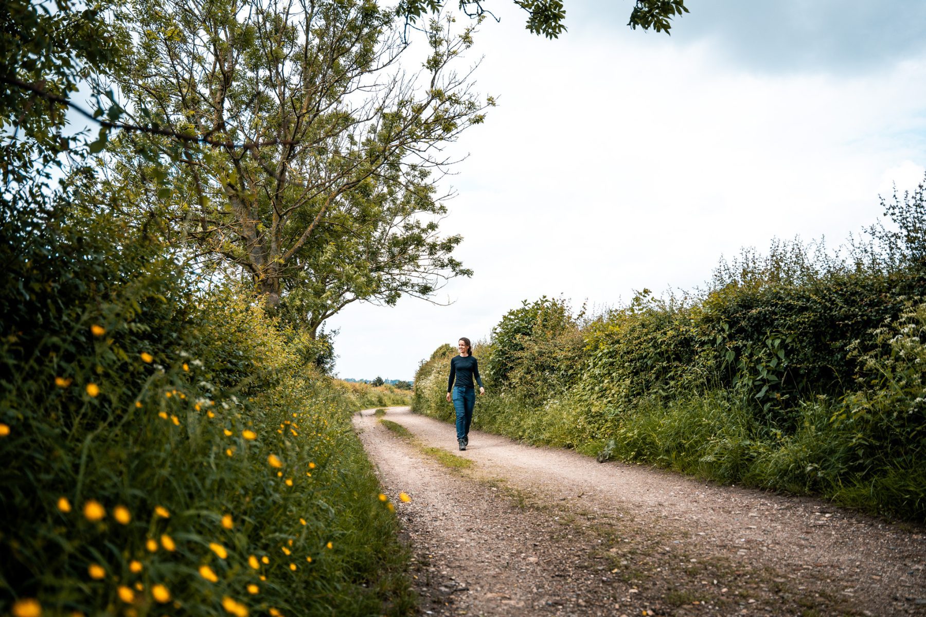 Wijngaarden wandeling Noorbeek, Zuid-Limburg