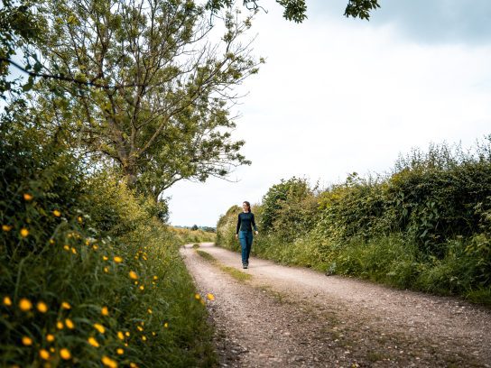 Wijngaarden wandeling Noorbeek, Zuid-Limburg