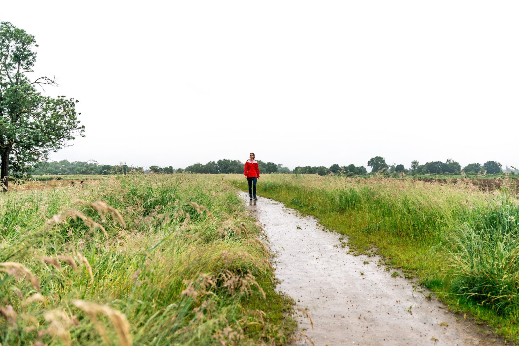 Zuid-Limburg