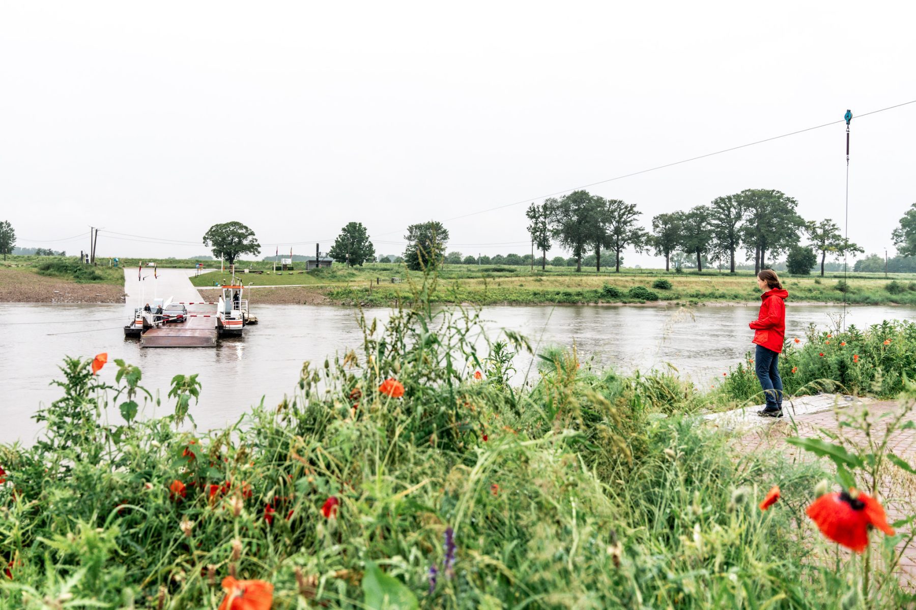 Veerpont Zuid-Limburg