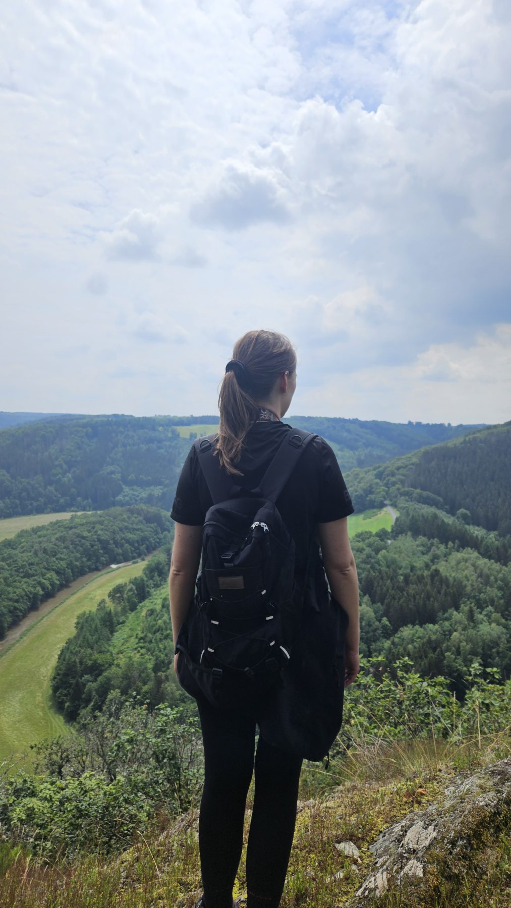 uitzicht ardennen natuur