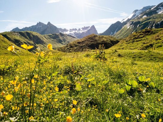 Franse Alpen, La Plagne Nicole Sauve Greenspin, The Outdoors 2024