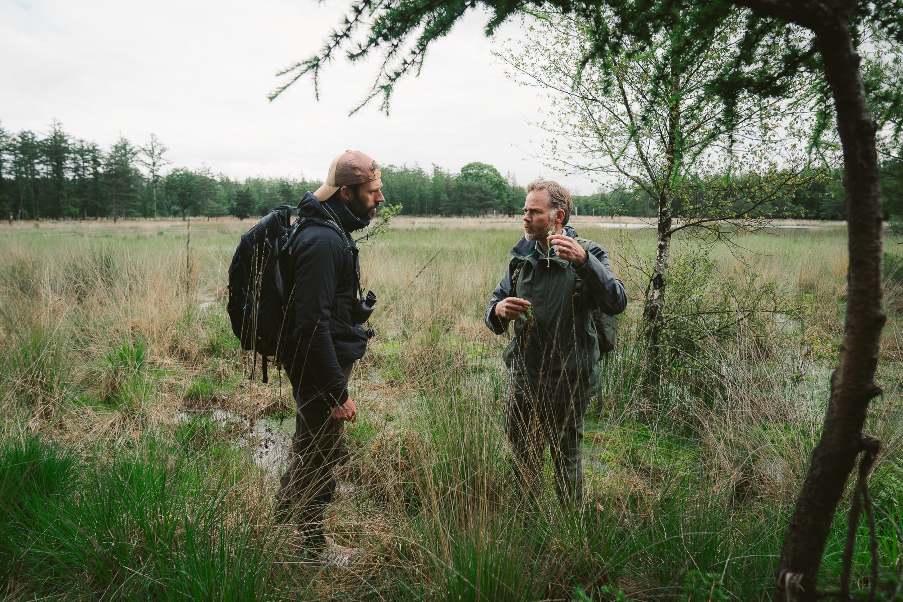 Op micro-avontuur in Drenthe