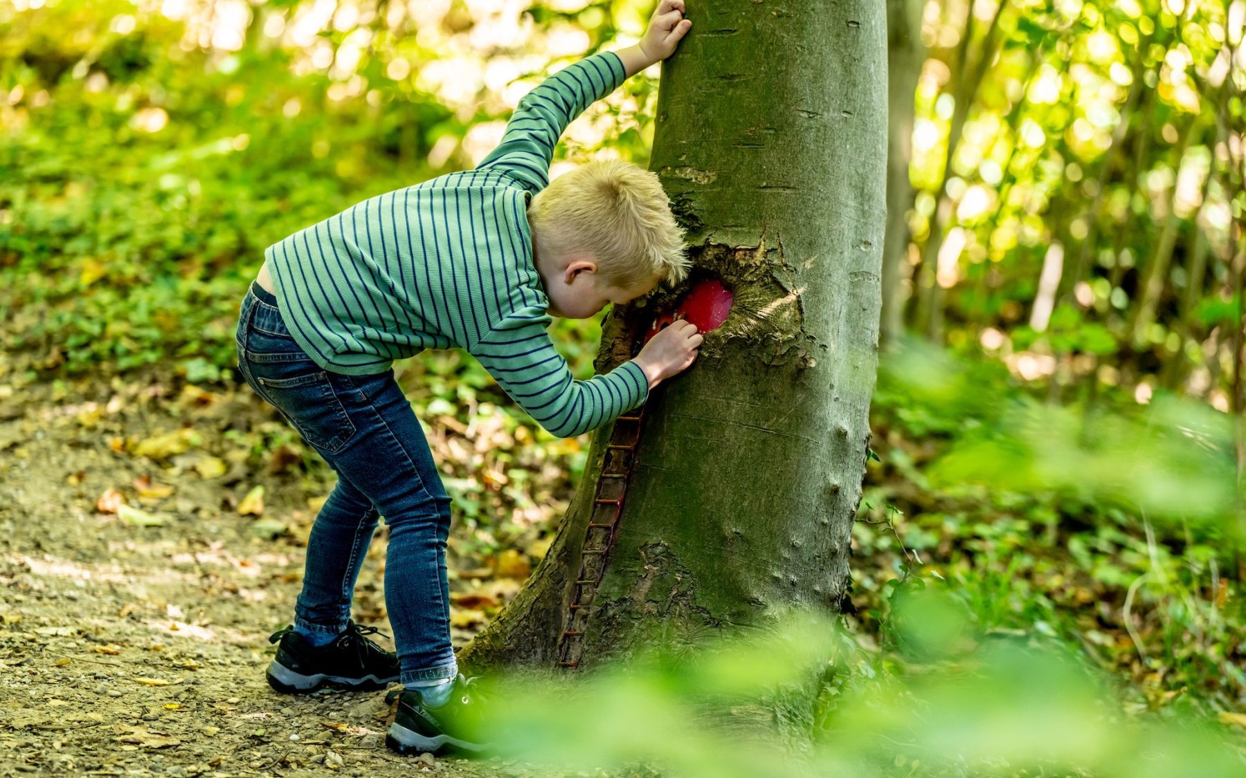 kidsproof wandelroute in Zuid-Limburg