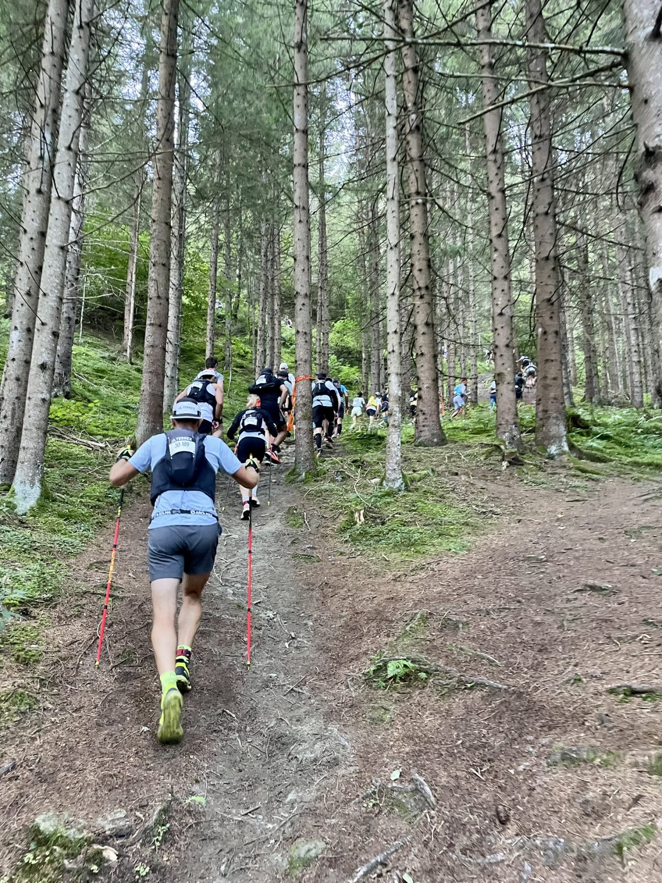 Trailrunnen door de bossen met Adidas Infinite trails 