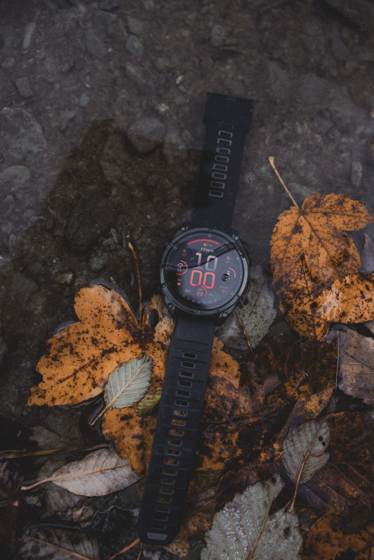 Garmin Fenix 8