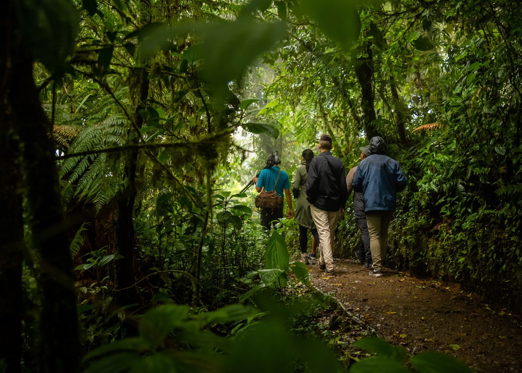 De mooiste nationale parken van Costa Rica