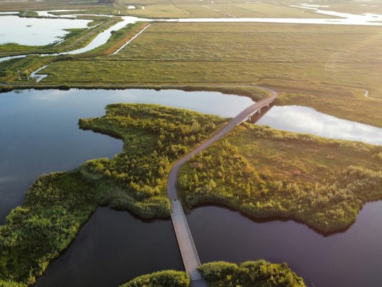 Biesbosch