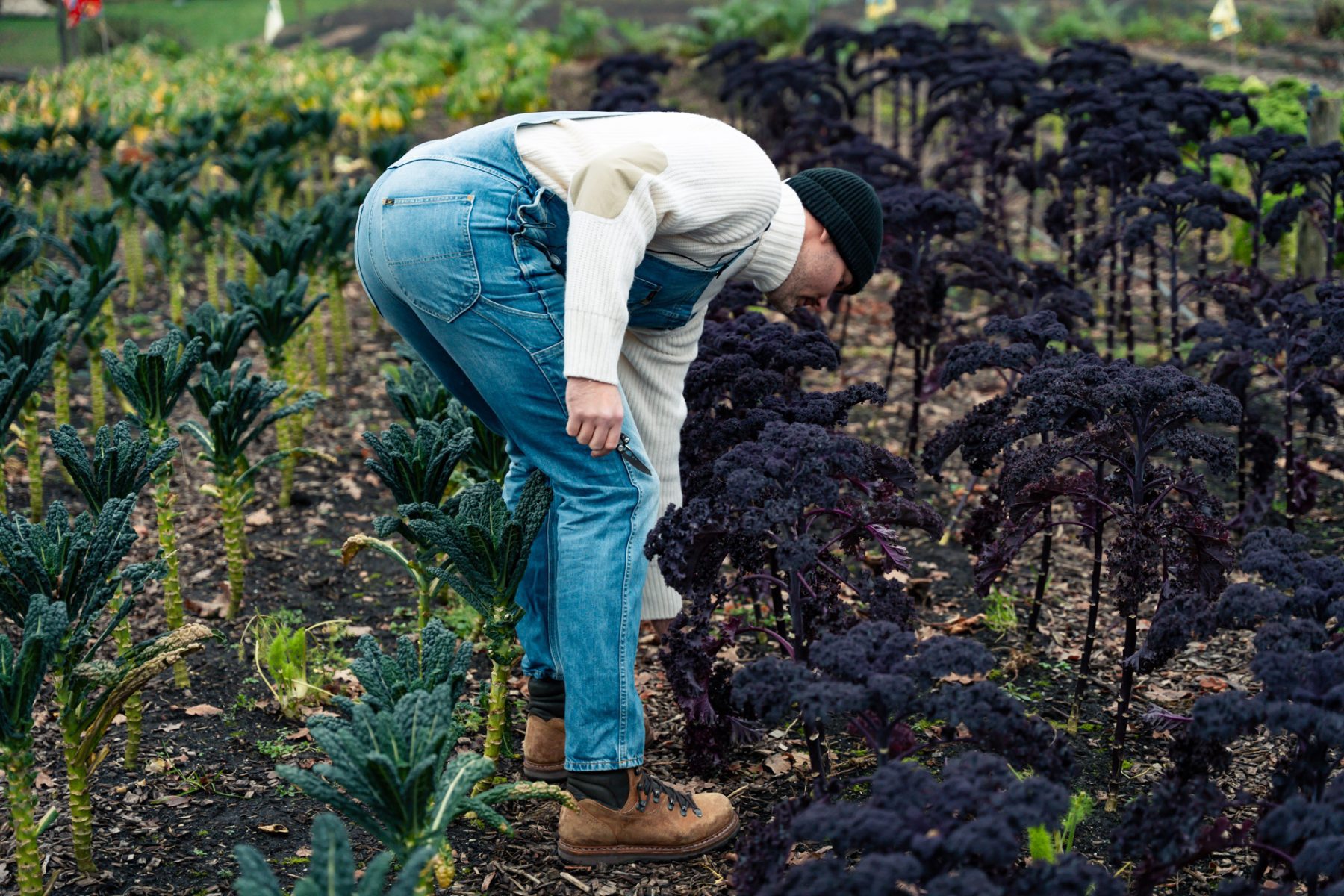 Werken in de moestuin met de Leatherman Skeletool CX